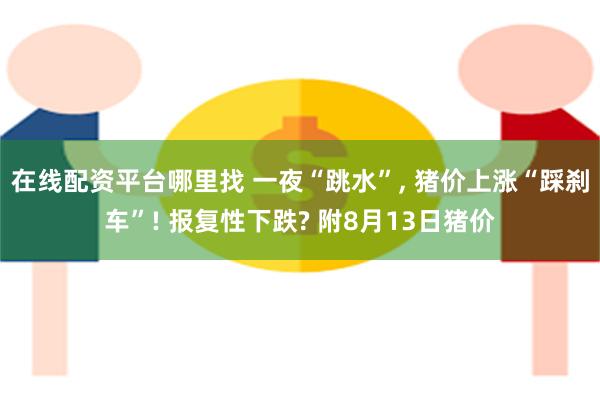 在线配资平台哪里找 一夜“跳水”, 猪价上涨“踩刹车”! 报复性下跌? 附8月13日猪价