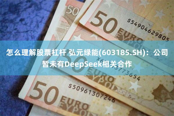怎么理解股票杠杆 弘元绿能(603185.SH)：公司暂未有DeepSeek相关合作