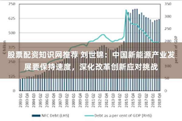 股票配资知识网推荐 刘世锦：中国新能源产业发展要保持速度，深化改革创新应对挑战