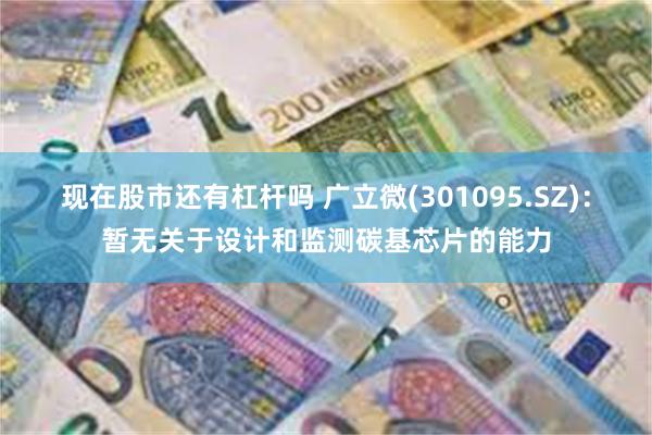 现在股市还有杠杆吗 广立微(301095.SZ)：暂无关于设计和监测碳基芯片的能力