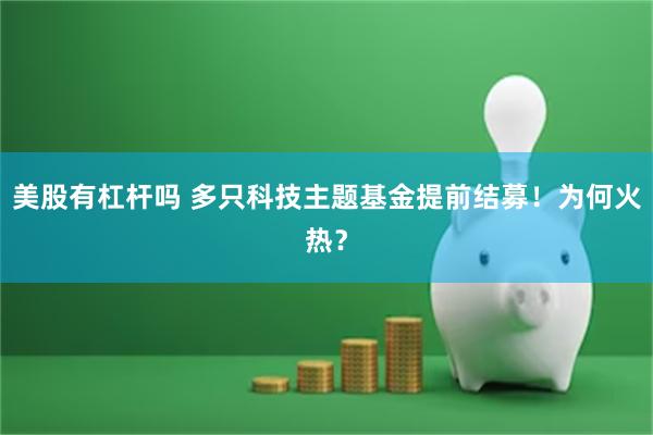美股有杠杆吗 多只科技主题基金提前结募！为何火热？