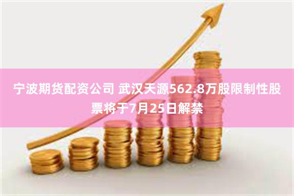 宁波期货配资公司 武汉天源562.8万股限制性股票将于7月25日解禁