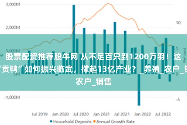 股票配资推荐股牛网 从不足百只到1200万羽！这只“贡鸭”如何振兴临武，撑起13亿产业？_养殖_农户_销售