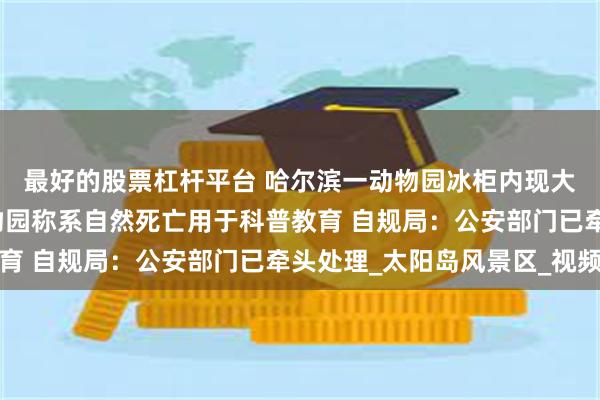 最好的股票杠杆平台 哈尔滨一动物园冰柜内现大量野生动物尸体，动物园称系自然死亡用于科普教育 自规局：公安部门已牵头处理_太阳岛风景区_视频